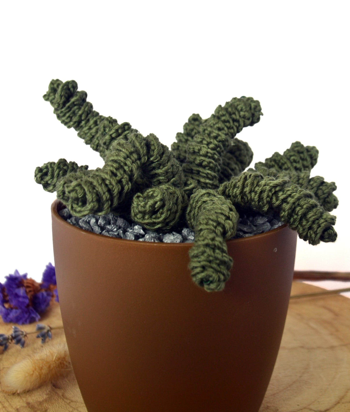 Crassula plant haakpatroon