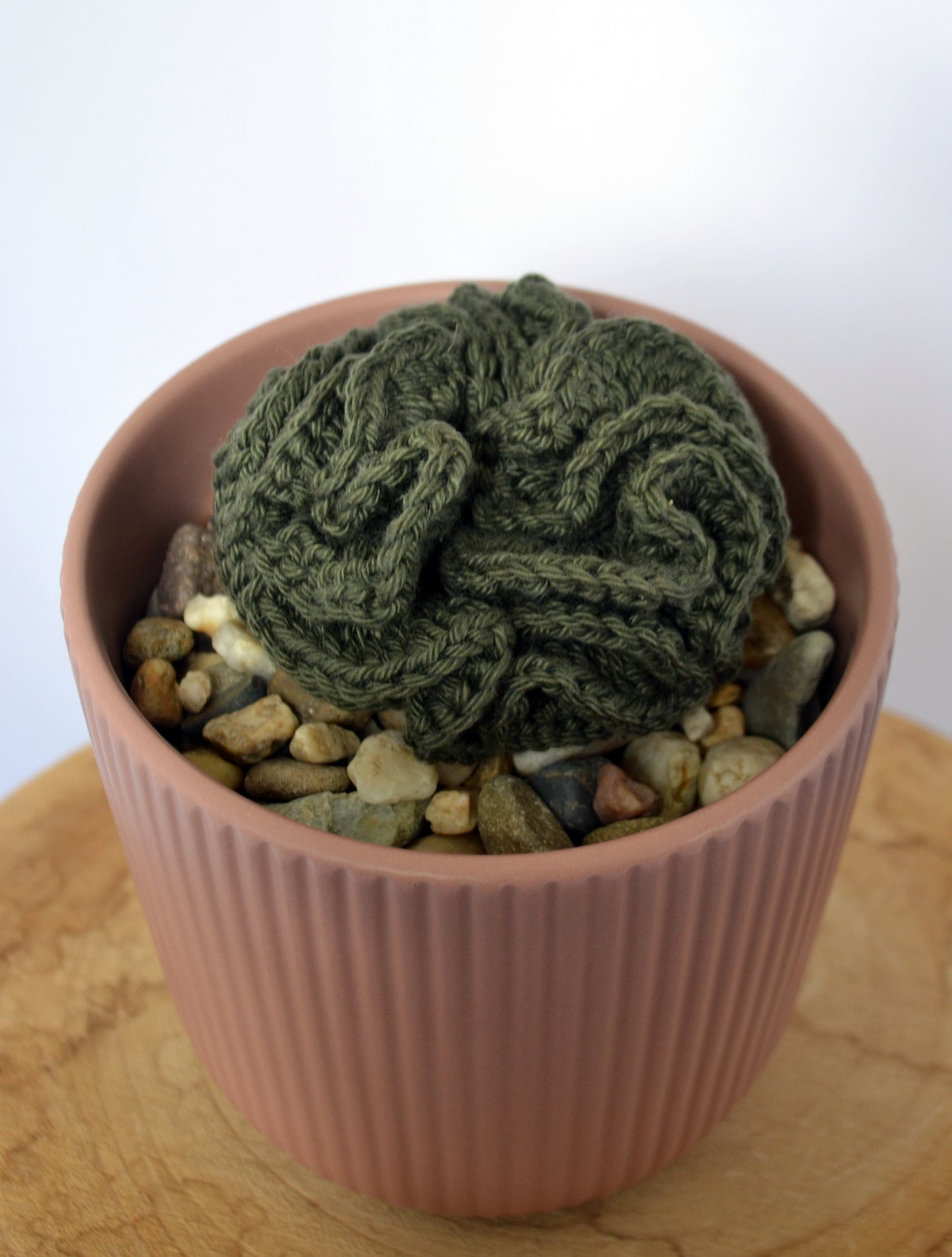 hersencactus haakpatroon