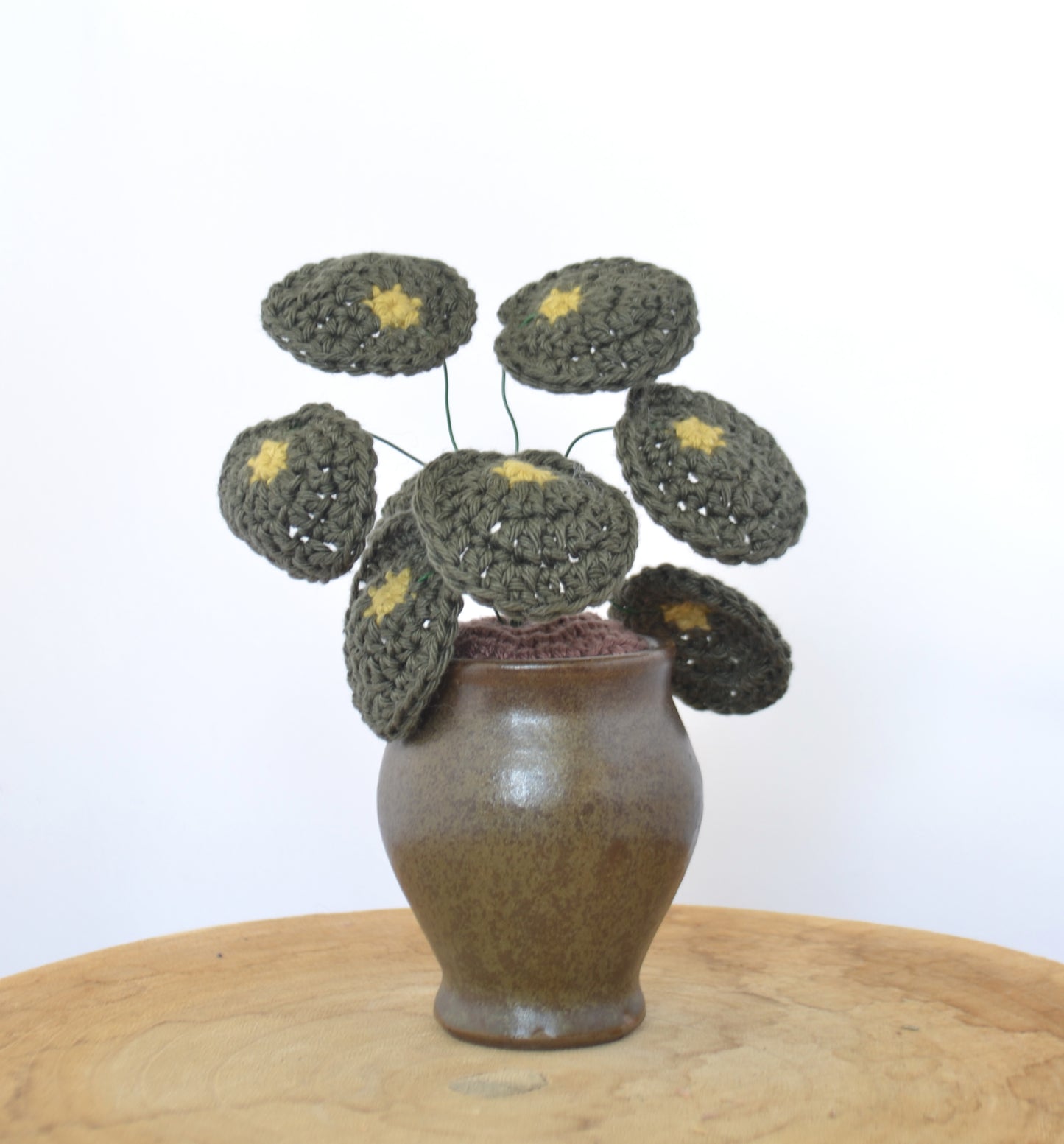 Pilea plant pannenkoek plant haakpatroon