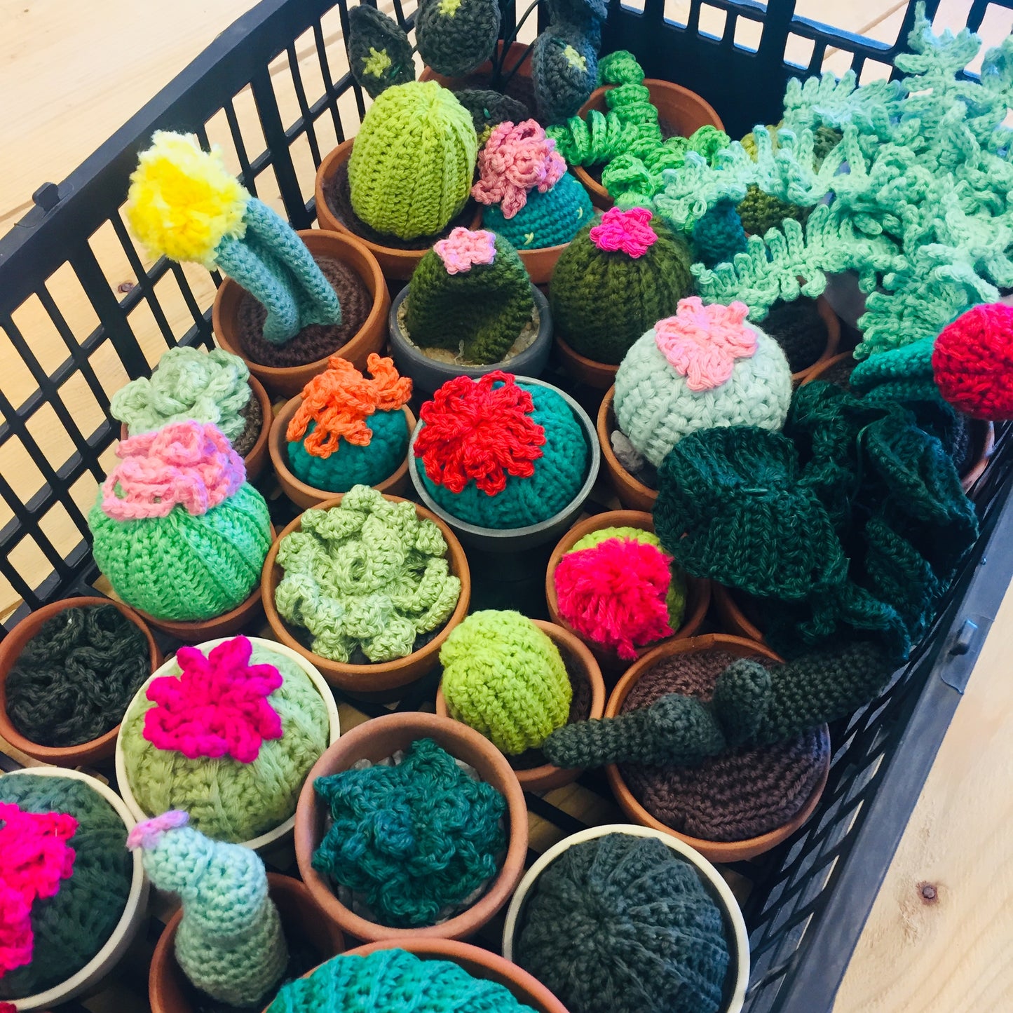 cacti planten haakpatronen